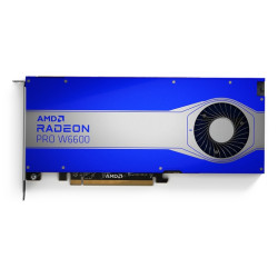 VGA AMD RADEON PRO W6600 8GB Retail (100