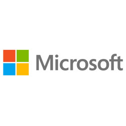 Microsoft Windows Server Standard 2022 1