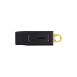 USB Stick 128GB Kingston DataTraveler Ex